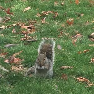 Meet your Posher, Joao